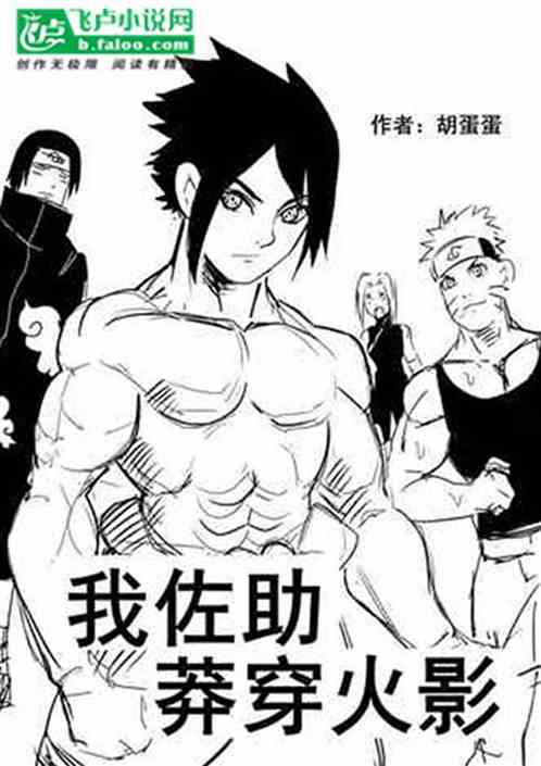 I, Sasuke, wear Hokage