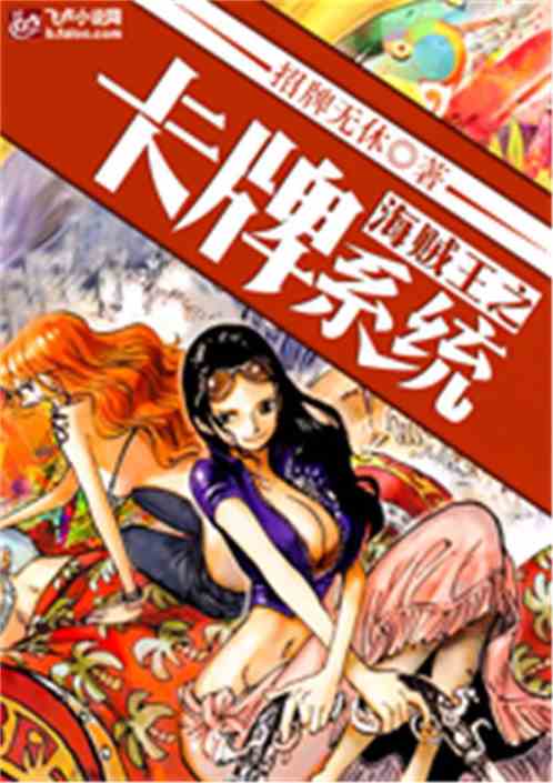 One Piece’s card system