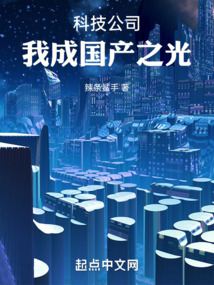 Technology company, I will become the light of China!